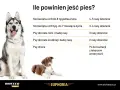 Ile karmy dla psa? Tabela podpowiada, jak karmić szczenięta i dorosłe psy różnych ras, a także chore.