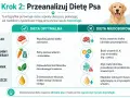 Infografika pokazuje, dlaczego pies je kupy: niedobory białka, witamin, błonnika i tłuszczu w diecie mogą prowadzić do koprofagii.