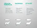 Otyły pies ma żebra pokryte grubą warstwą tłuszczu, zaokrągloną sylwetkę i duży, obwisły brzuch.