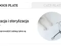 Kastracja psów i sterylizacja. Białe łapki psa i stetoskop na białym tle. Kiedy wykonać zabieg i jakie są korzyści?