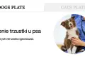 Uroczy piesek u weterynarza. Temat: zapalenie trzustki u psa, śmiertelność. Objawy, których nie wolno ignorować.