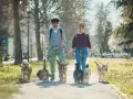 Spacer po parku w Krakowie z psem to świetna sprawa! Para spaceruje z gromadką radosnych psów, ciesząc się wiosennym dniem.