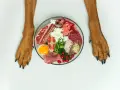 Miseczka z jedzeniem dla psa: surowe mięso, ryba, jajko, ser biały, brokuły i żurawina. Idealna dieta dla psa.