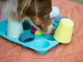 Piesek szuka smakołyków w zabawkach DIY. Zabawa w chowanego z przysmakami to świetny sposób na nudę dla psa.