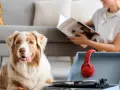 Pies leży obok gramofonu z czerwonymi słuchawkami, słuchając uspokajającej muzyki dla psa. Kobieta czyta magazyn w tle.