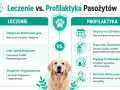 Grafika porównuje leczenie i profilaktykę przeciwpasożytniczą u psów. Pokazuje, że robaki u psa wymagają diagnozy i leków, podczas gdy profilaktyka to regularne odrobaczanie i dbanie o higienę.