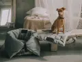 Uroczy piesek siedzi na miękkiej poduszce obok stylowego legowiska z dachem dla psa.