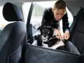 Mały, czarno-biały piesek w specjalnym foteliku w samochodzie, przygotowywany do podróży przez właścicielkę.