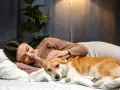 Kobieta głaszcze śpiącego corgi na łóżku. Zastanawia się, dlaczego pies nie chce ze mną spać, choć jest tak blisko.