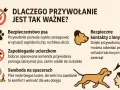 Zapobieganie ucieczkom psa na spacerze jest kluczowe. Dobrze opanowane przywołanie pozwala zatrzymać pupila, zanim oddali się za daleko.