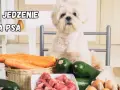 Biały piesek czeka na pyszne, domowe jedzenie dla psa: mięso, marchewki, cukinia i jajka.