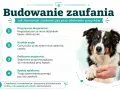 Jak wytresować psa do obcinania pazurów: pozytywne skojarzenia, krótkie sesje, delikatne dotykanie i spokój opiekuna to klucz do sukcesu.