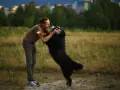 Mężczyzna w brązowej koszulce i spodniach przytula skaczącego na niego bernardyna. W tle pole i drzewa. Jak oduczyć psa skakania?