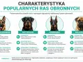 Cztery psy obronne: owczarek niemiecki, rottweiler, doberman i bullmastiff. Każdy z nich, mimo potencjalnie agresywne psy, wymaga odpowiedniego szkolenia.