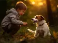 Chłopiec i jack russell terrier w złotym świetle zachodzącego słońca. Ich spojrzenia się krzyżują, tworząc magiczną więź między dziećmi a ich czworonożnymi przyjaciółmi.