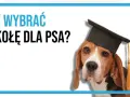 Beagle w czapce absolwenta pyta: "Jak wybrać szkołę dla psa?". Mądry piesek czeka na odpowiedzi.