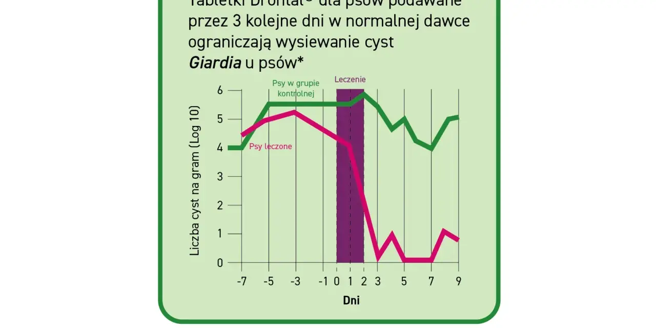 Wykres porównujący liczbę cyst Giardia u psów leczonych i kontrolnych. Leczenie Drontalem znacząco ogranicza wysiew cyst.