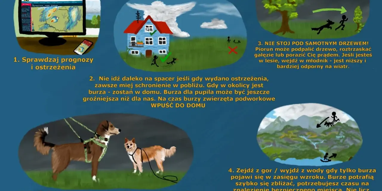 Podczas burzy, gdy idziesz na spacer z psem, sprawdź prognozy i ostrzeżenia. Nie ryzykuj, gdy jest niebezpiecznie.