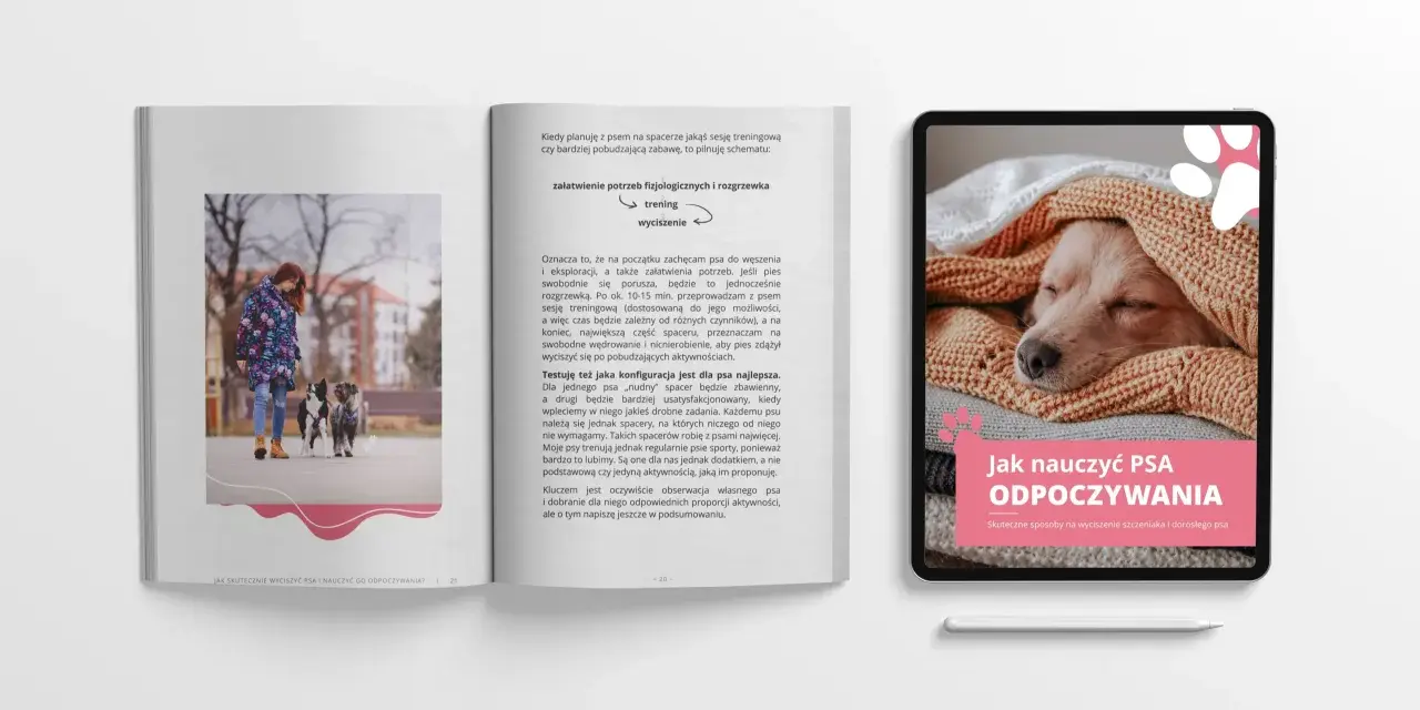 Jak nauczyć psa odpoczynku? Na tablecie uśpiony piesek pod kocem, obok książka o wyciszaniu psów.
