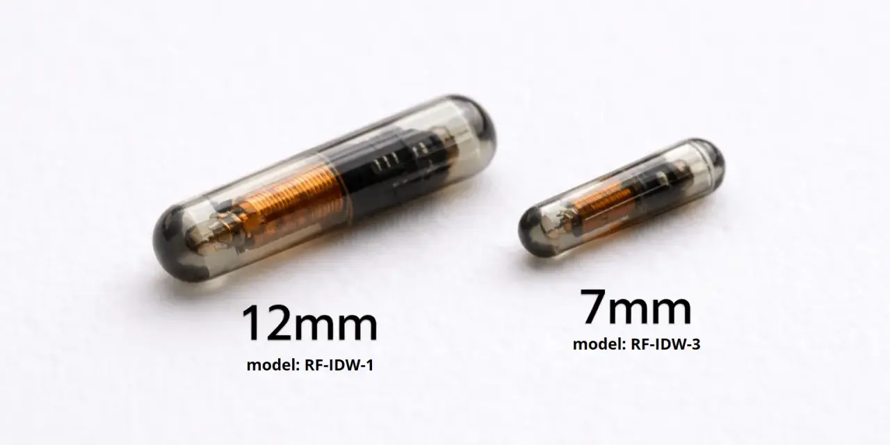 Dwa chipy dla psa: większy 12mm i mniejszy 7mm, oba w szklanej kapsułce z widocznym miedzianym uzwojeniem.
