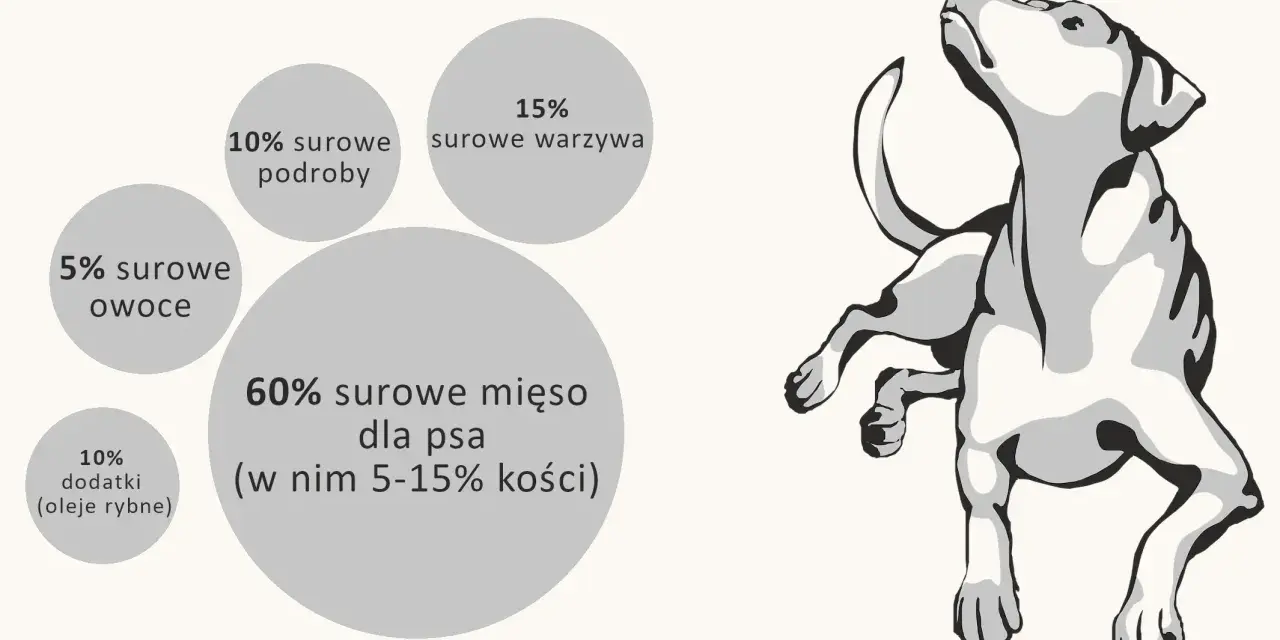 Idealne barf proporcje dla psa: 60% mięsa, 15% warzyw, 10% podrobów, 5% owoców i 10% dodatków.