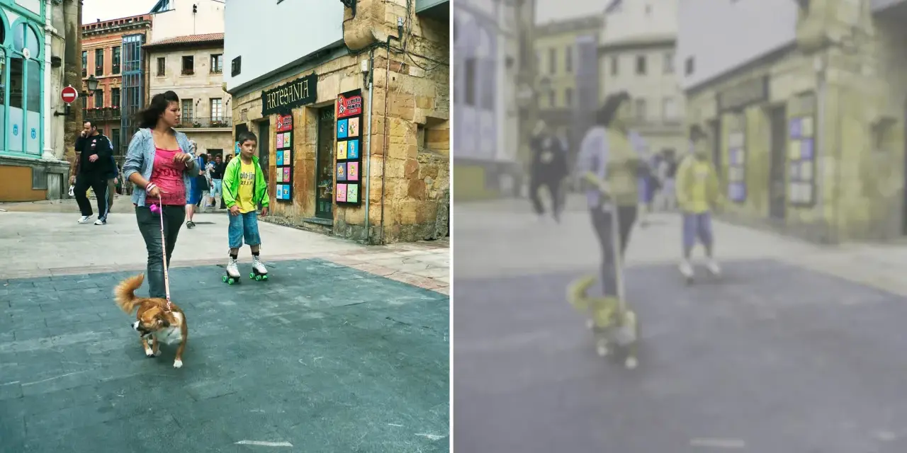 Jak widzi pies: rozmyte postacie na ulicy, kobieta z psem na smyczy, chłopiec na rolkach.