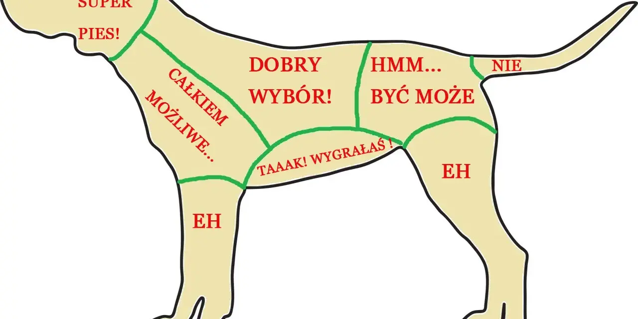 Schemat pokazuje, gdzie głaskać psa, z podziałem na strefy: "Super pies!", "Całkiem możliwe...", "Dobry wybór!", "Hmm... być może", "Taaak! Wygrałaś!" i "Nie".