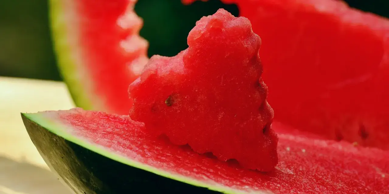 Kawałek arbuza, jakby ugryziony przez psa. Czy pies może arbuza? Tak, w małych ilościach.