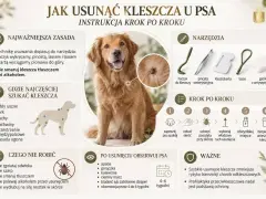 Jak wyciągnąć psu kleszcza: instrukcja krok po kroku. Użyj haczyka lub pęsety, uchwyć kleszcza przy skórze i wykonaj właściwy ruch. Obserwuj psa po usunięciu.