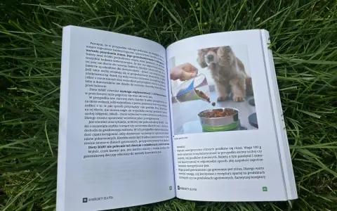 Wybór, czym karmić psa, jest ważny. Książka omawia różne diety, w tym BARF, i podpowiada, jak zapewnić psu zbilansowane żywienie.