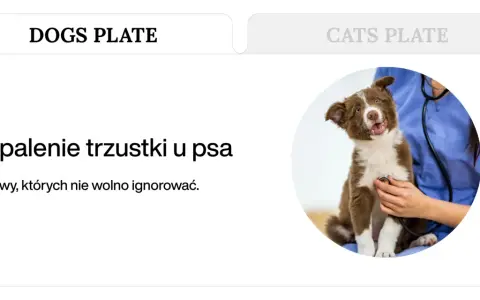 Uroczy piesek u weterynarza. Temat: zapalenie trzustki u psa, śmiertelność. Objawy, których nie wolno ignorować.