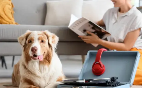 Pies leży obok gramofonu z czerwonymi słuchawkami, słuchając uspokajającej muzyki dla psa. Kobieta czyta magazyn w tle.