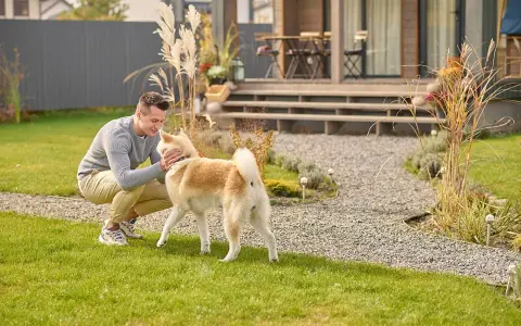 Uśmiechnięty mężczyzna głaszcze swojego psa, który stoi na trawniku przed domem. To szczęśliwy labrador na dworze.