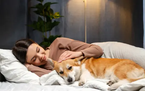 Kobieta głaszcze śpiącego corgi na łóżku. Zastanawia się, dlaczego pies nie chce ze mną spać, choć jest tak blisko.