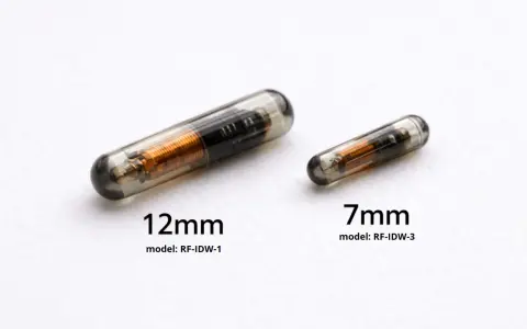 Dwa chipy dla psa: większy 12mm i mniejszy 7mm, oba w szklanej kapsułce z widocznym miedzianym uzwojeniem.
