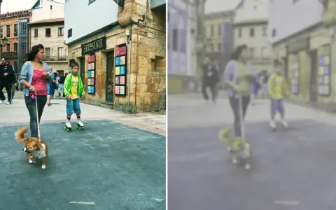 Jak widzi pies: rozmyte postacie na ulicy, kobieta z psem na smyczy, chłopiec na rolkach.