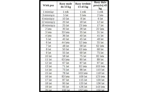 Tabela porównująca wiek psa w miesiącach i latach do wieku ludzkiego, zależnie od rasy. Pozwala sprawdzić, ile lat ludzkich mają nasze psie pociechy.