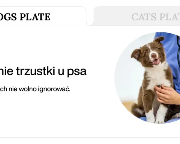 Uroczy piesek u weterynarza. Temat: zapalenie trzustki u psa, śmiertelność. Objawy, których nie wolno ignorować.