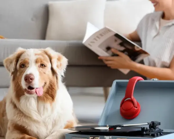 Pies leży obok gramofonu z czerwonymi słuchawkami, słuchając uspokajającej muzyki dla psa. Kobieta czyta magazyn w tle.