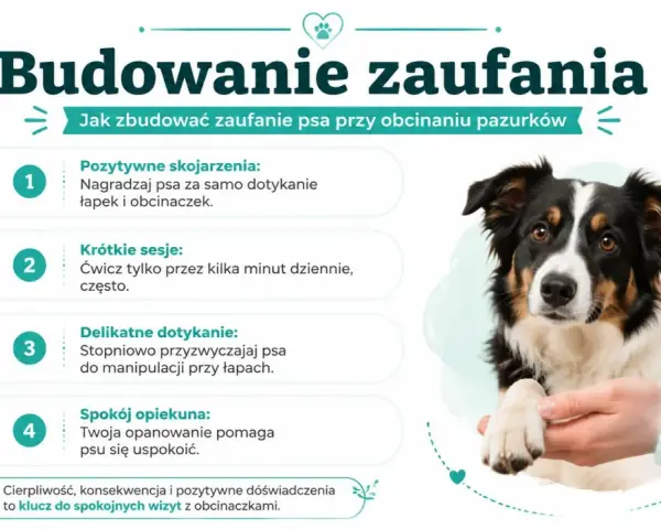 Jak wytresować psa do obcinania pazurów: pozytywne skojarzenia, krótkie sesje, delikatne dotykanie i spokój opiekuna to klucz do sukcesu.