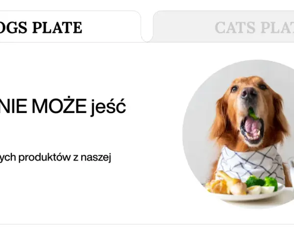 Złoty retriever z brokułem w pysku, obok talerz z jedzeniem i mlekiem. Temat: czego nie może jeść pies.