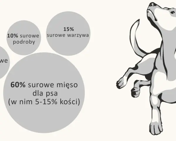 Idealne barf proporcje dla psa: 60% mięsa, 15% warzyw, 10% podrobów, 5% owoców i 10% dodatków.
