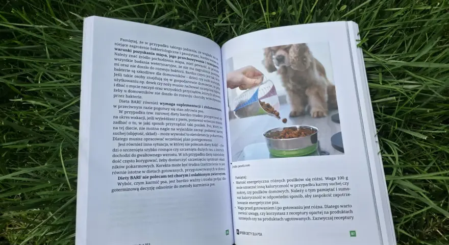Wybór, czym karmić psa, jest ważny. Książka omawia różne diety, w tym BARF, i podpowiada, jak zapewnić psu zbilansowane żywienie.