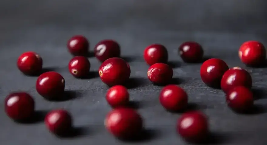 Kilka czerwonych żurawin rozsypanych na ciemnym tle. Czy pies może żurawinę? To pytanie nurtuje wielu właścicieli czworonogów.