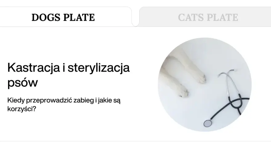 Kastracja psów i sterylizacja. Białe łapki psa i stetoskop na białym tle. Kiedy wykonać zabieg i jakie są korzyści?