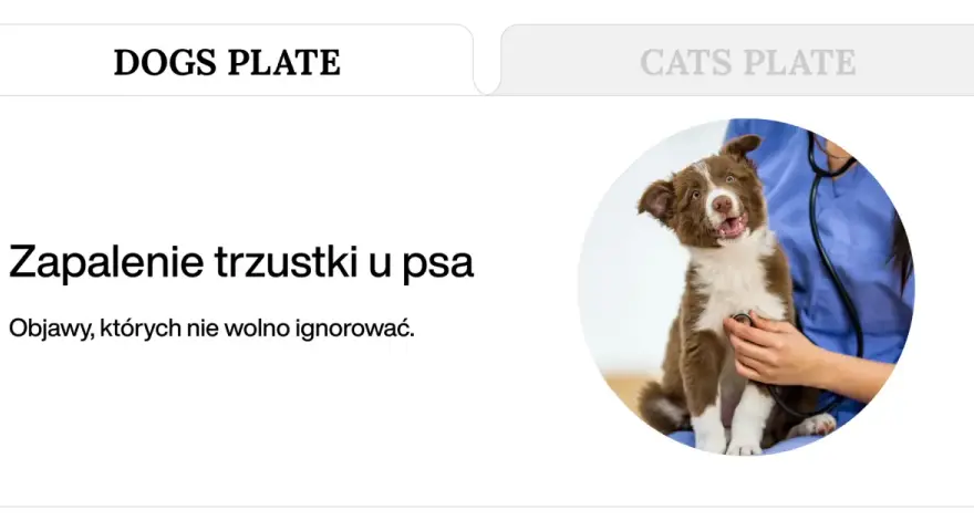 Uroczy piesek u weterynarza. Temat: zapalenie trzustki u psa, śmiertelność. Objawy, których nie wolno ignorować.