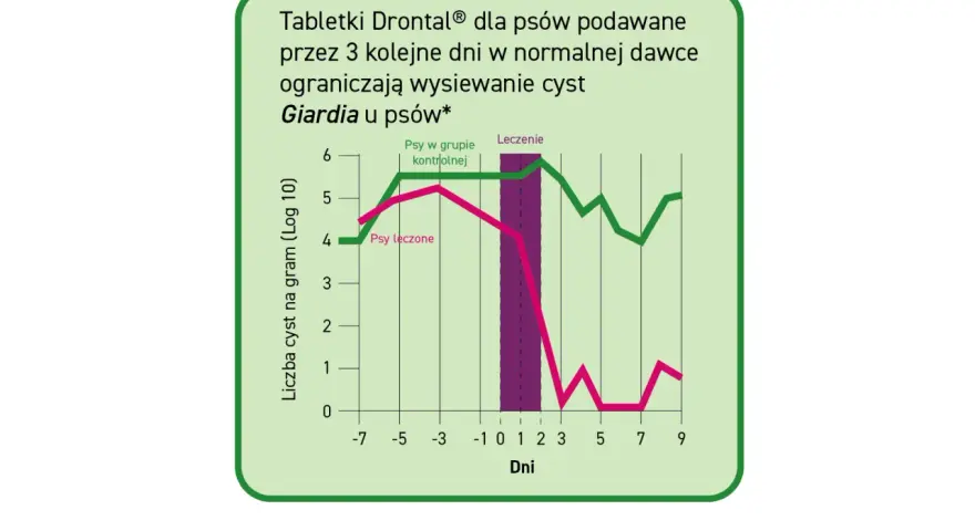 Wykres porównujący liczbę cyst Giardia u psów leczonych i kontrolnych. Leczenie Drontalem znacząco ogranicza wysiew cyst.