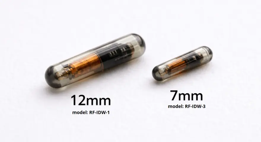 Dwa chipy dla psa: większy 12mm i mniejszy 7mm, oba w szklanej kapsułce z widocznym miedzianym uzwojeniem.