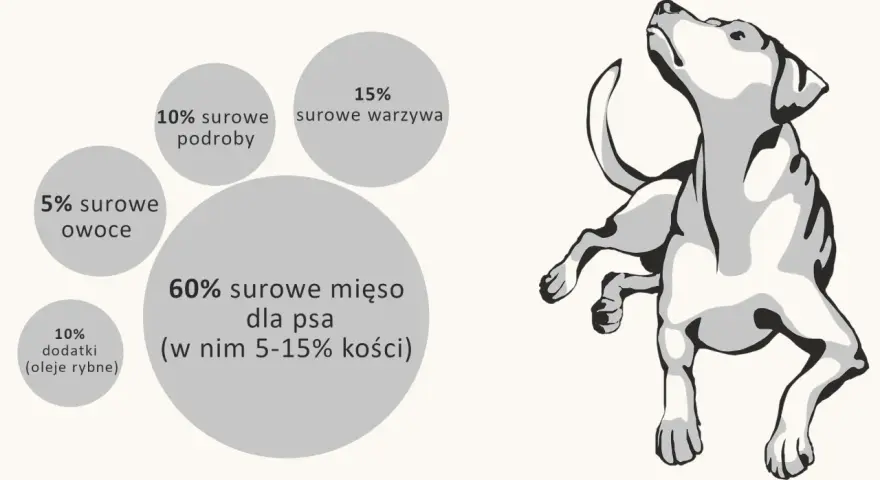Idealne barf proporcje dla psa: 60% mięsa, 15% warzyw, 10% podrobów, 5% owoców i 10% dodatków.