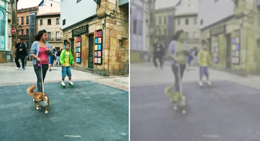Jak widzi pies: rozmyte postacie na ulicy, kobieta z psem na smyczy, chłopiec na rolkach.